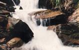 玉龍?jiān)怼㈨懰?></a></dd>
  <dd>
	 

	

	 

	　　雨母山西北一個(gè)山皂，東西縱向長達(dá)1公里。有叫玉龍?jiān)?，有叫響水皂。該皂有響水泉和響水瀑布。在玉龍?jiān)砼c九龍沖相隔的山坳，叫玉龍騰山坳，簡稱玉龍坳。玉龍土皂現(xiàn)駐有供電所、林場(chǎng)和蒸湘區(qū)黨校。在玉龍?jiān)淼?，有一泉臺(tái)，叫玉龍臺(tái)。...[<a href=
