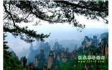 【純玩獨立成團線路1】張家界、袁家界、天子山、寶峰湖/黃龍洞二晚三日