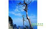 湘西之旅：張家界、天子山、寶峰湖/黃龍洞、鳳凰古城、猛洞河漂流、天門山六日游