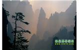 張家界國家森林公園、寶峰湖/黃龍洞、鳳凰古城、三峽八日游