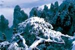 【純玩散拼線路17】張家界、天子山、芙蓉鎮(zhèn)、猛洞河漂流、鳳凰古城三晚四日游