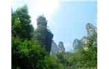 【純玩拼團(tuán)線路 張家界出發(fā)A2線】張家界、袁家界、天子山、金鞭溪、鳳凰古城2晚3日游