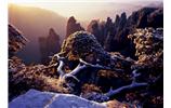 阿城市去到張家界旅游的旅行社團(tuán)隊(duì)優(yōu)惠折扣報價